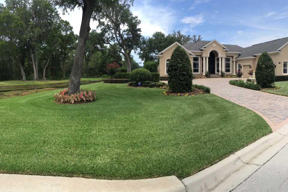 Freshly maintained green lawn in Lakeland, Florida